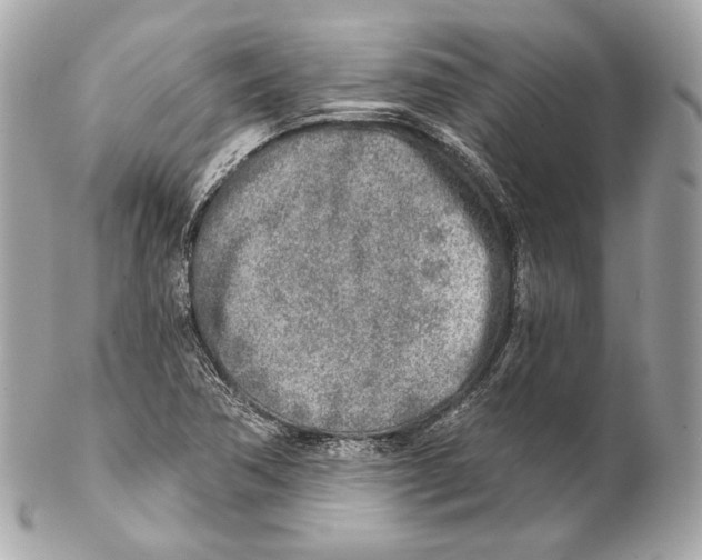 X0000102021362200808151305