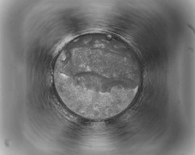 X0000102021363200808151305