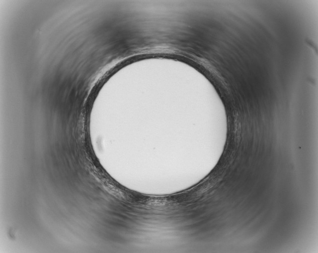 X0000102021364200808151305
