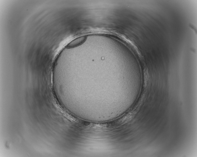 X0000102021365200808151305