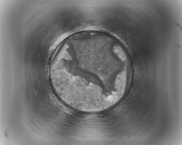 X0000102021367200808151305