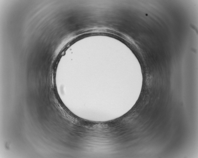 X0000102021368200808151305