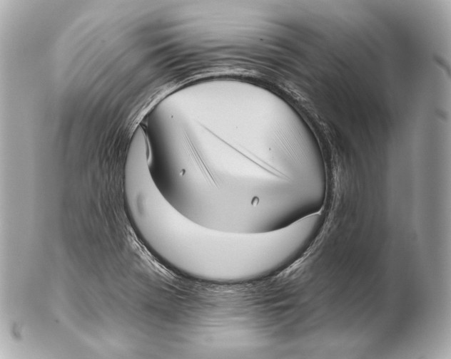 X0000102021369200808151305