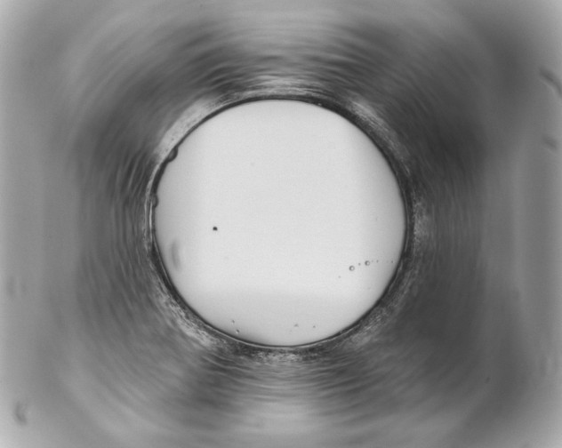 X0000102021370200808151305