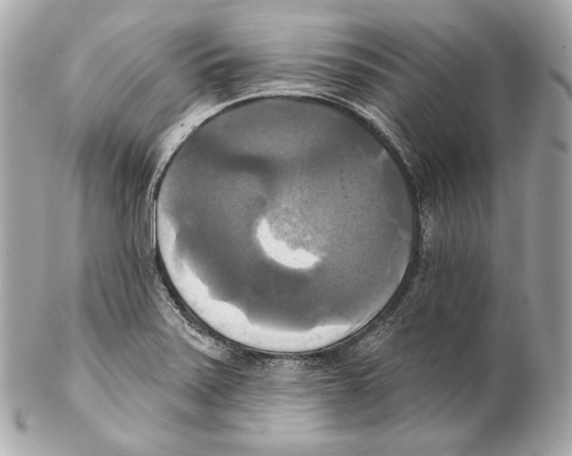 X0000102021371200808151305