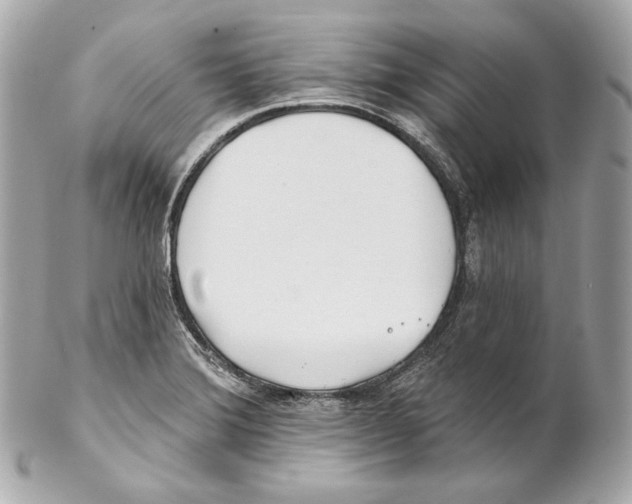 X0000102021372200808151305