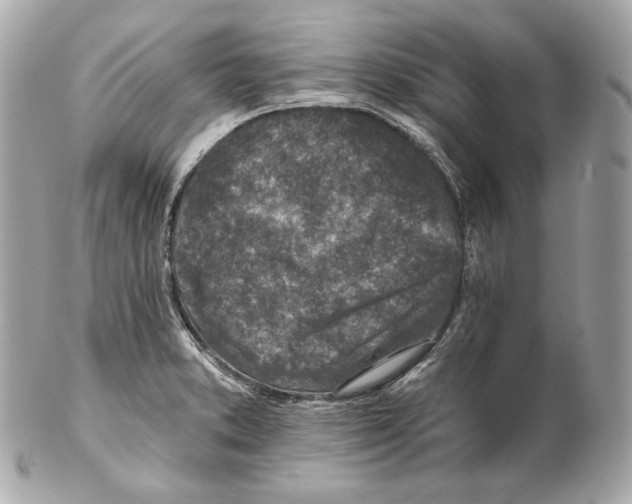 X0000102021373200808151305
