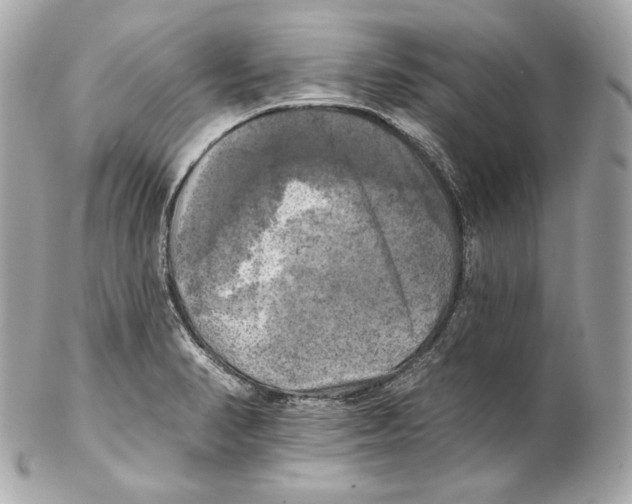X0000102021374200808151305