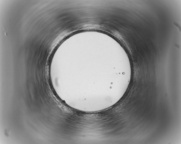X0000102021376200808151305