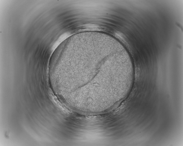X0000102021378200808151305
