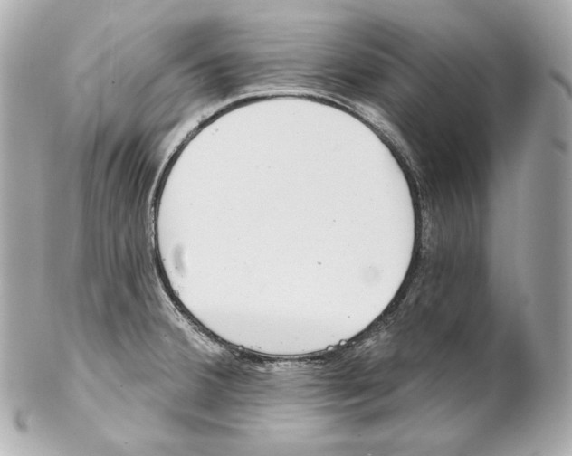 X0000102021380200808151305