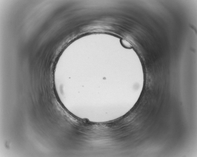 X0000102021384200808151305