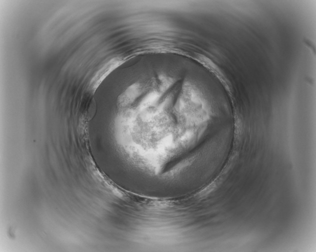 X0000102021385200808151305
