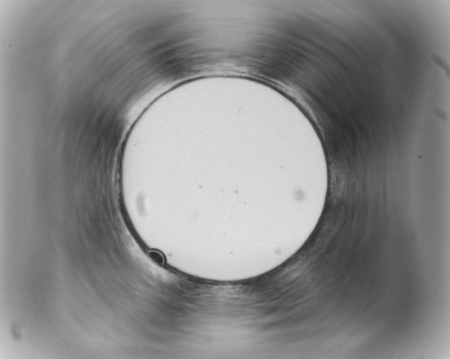 X0000102021387200808151305