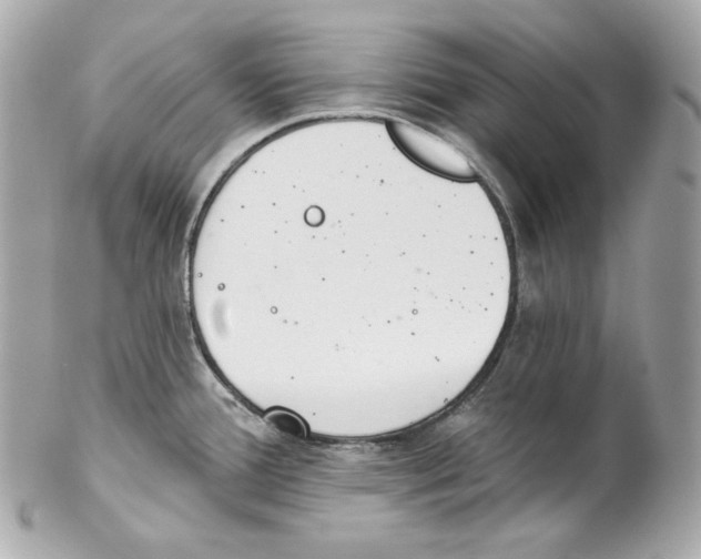 X0000102021388200808151305