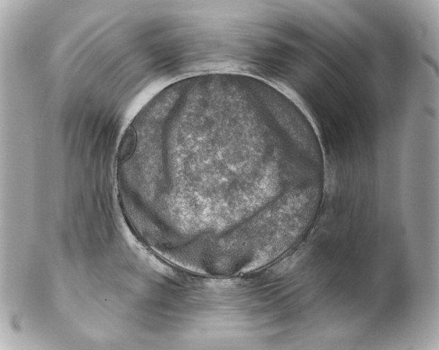 X0000102021389200808151305