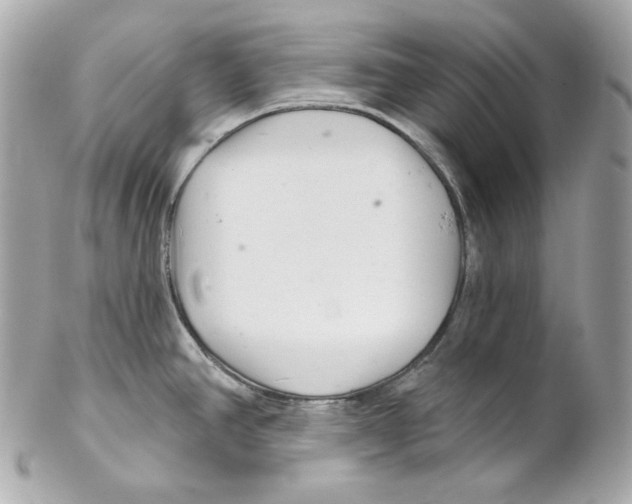 X0000102021390200808151305
