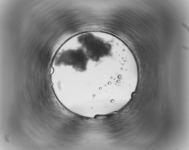 X0000102021392200808151305