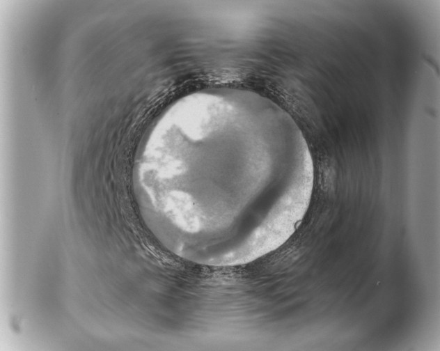 X0000102021393200808151304