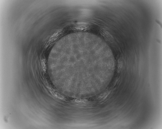 X0000102021394200808151304