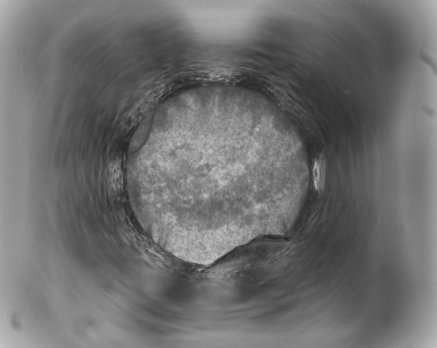 X0000102021395200808151304
