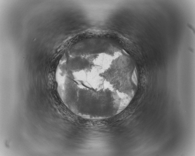 X0000102021397200808151304