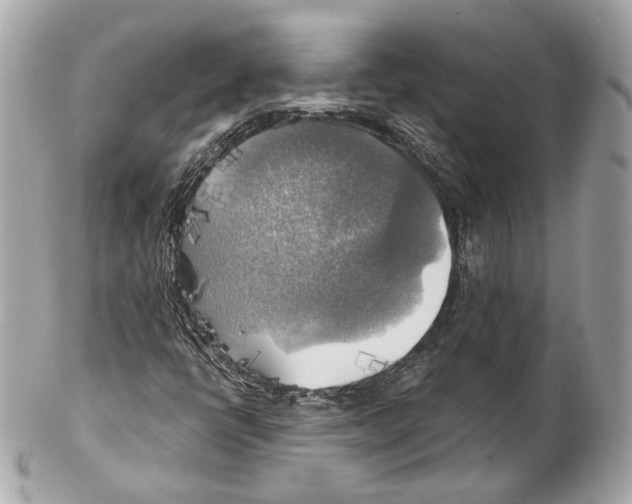 X0000102021398200808151304