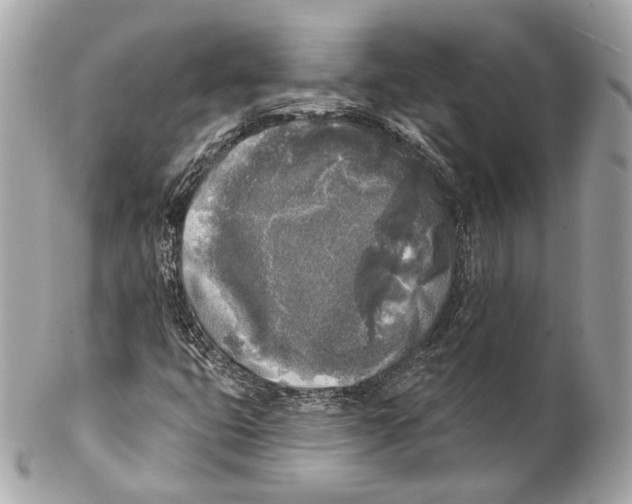 X0000102021399200808151304