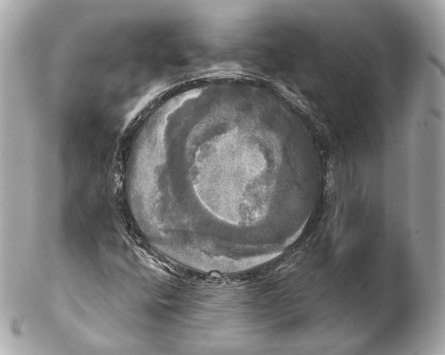 X0000102021400200808151304