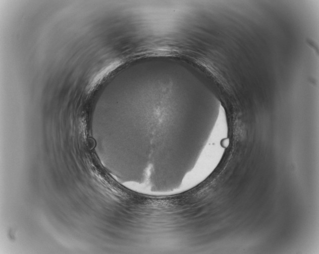 X0000102021402200808151304