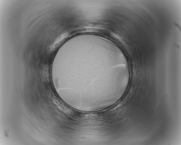 X0000102021403200808151304