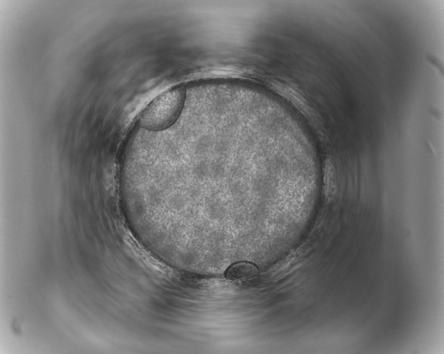 X0000102021404200808151304