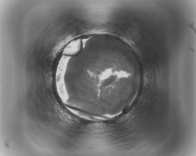 X0000102021406200808151304