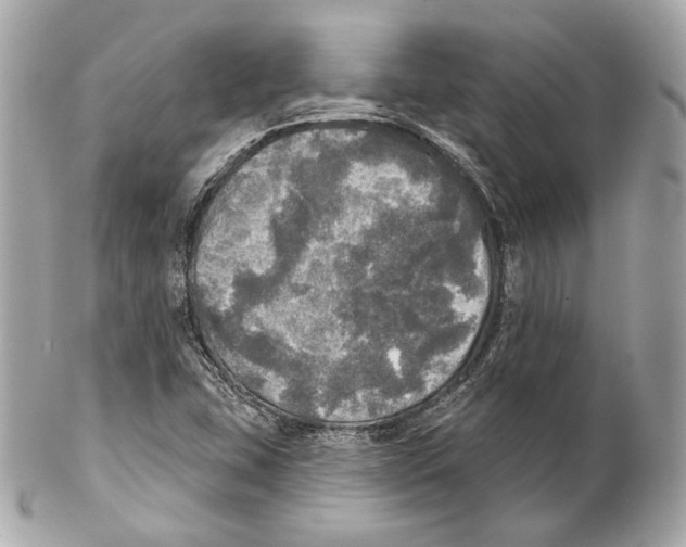 X0000102021407200808151304