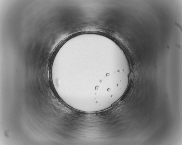 X0000102021408200808151304