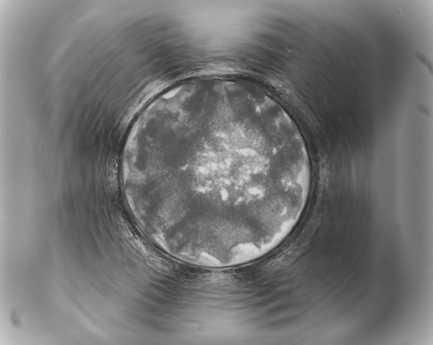 X0000102021409200808151304
