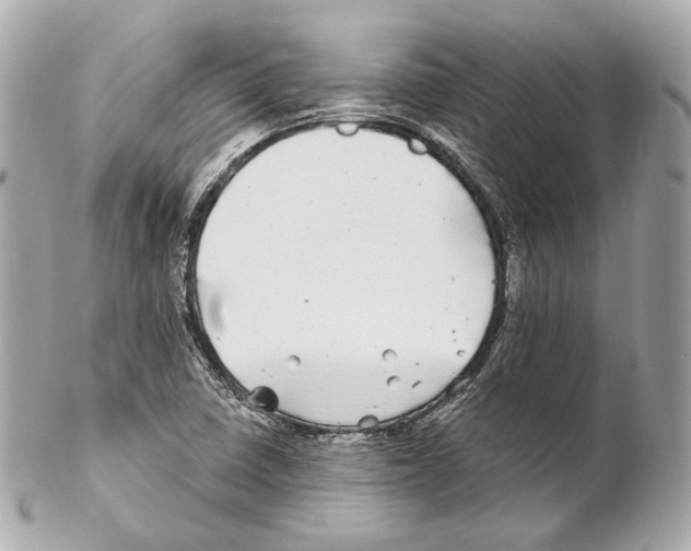 X0000102021410200808151304