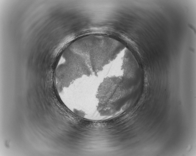 X0000102021411200808151304