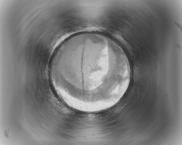 X0000102021412200808151304