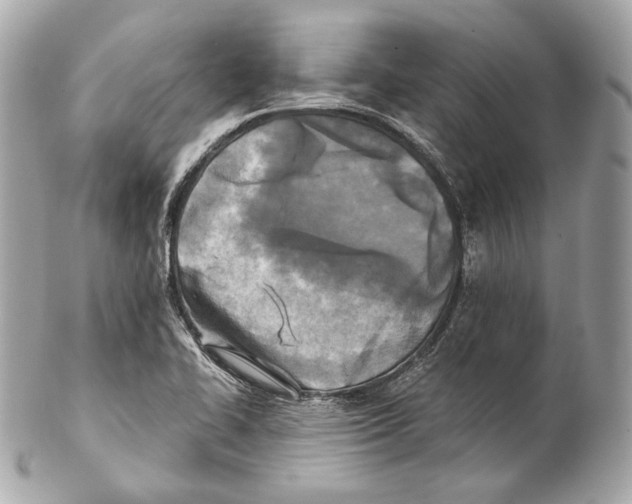 X0000102021414200808151304