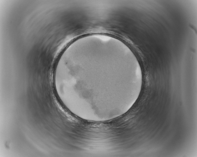 X0000102021416200808151305