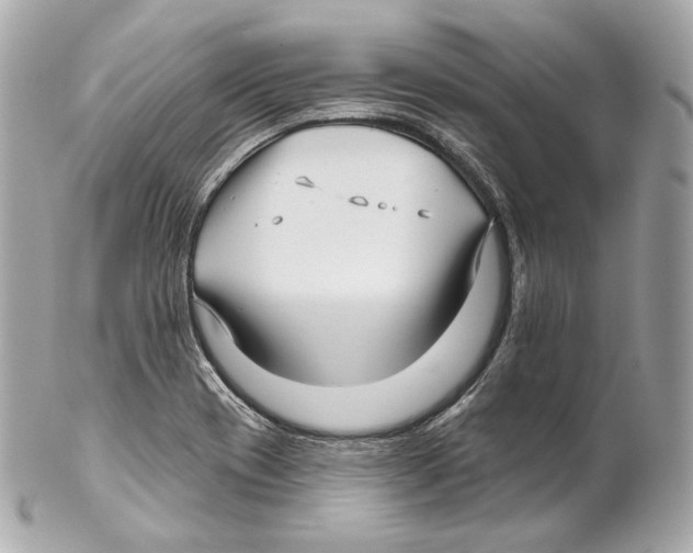 X0000102021417200808151305