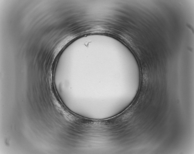 X0000102021418200808151305