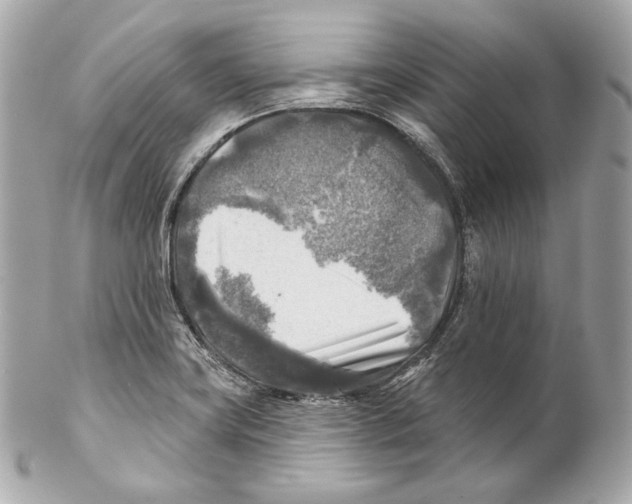 X0000102021419200808151305