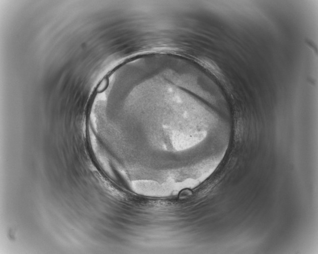 X0000102021420200808151305