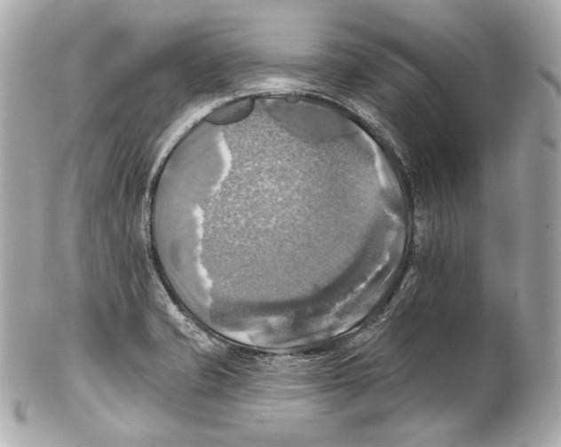 X0000102021421200808151305