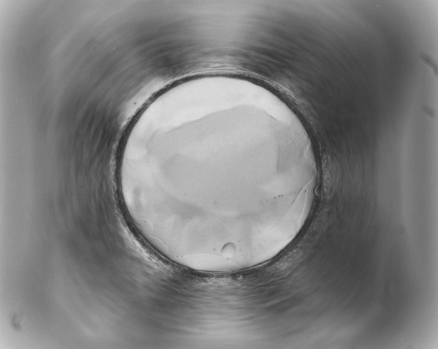 X0000102021422200808151305