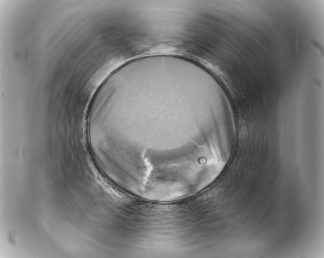 X0000102021423200808151305