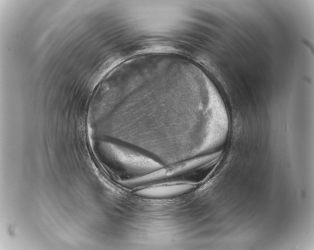 X0000102021425200808151305