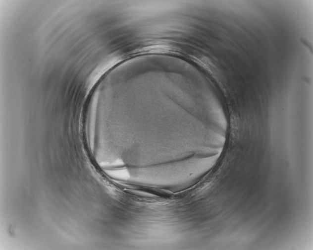 X0000102021426200808151305